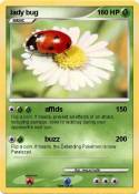 lady bug
