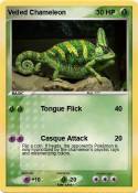 Veiled Chameleo