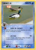 canard ex
