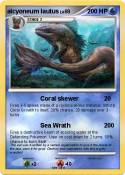 alcyoneum lautu