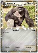 Harambe