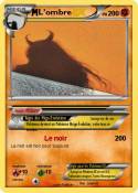 L’ombre