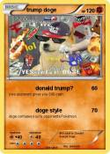 trump doge