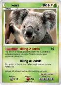 koala
