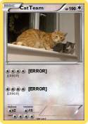 CatTeam
