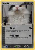 petunia
