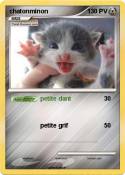 chatonminon