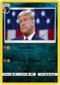 Trump MEGA