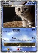 Mudkip