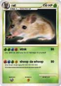 rat!
