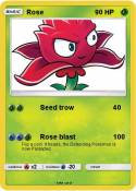 Rose
