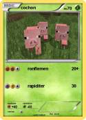 cochon