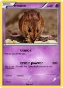 mouce