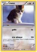 chaton