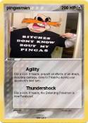 pingasman
