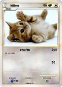 kitten