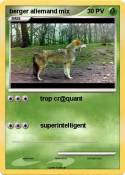 berger allemand