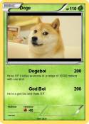 Doge