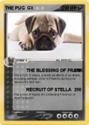 THE PUG GX