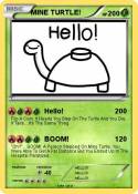 MINE TURTLE!