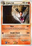 Angry Cat
