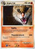 Angry Cat