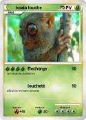 koala louche