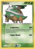 Torterra