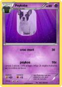 Psykoba