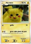 Pikchaton