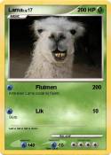 Lama