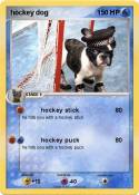 hockey dog