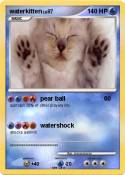waterkitten