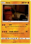ferret