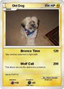 Old Dog