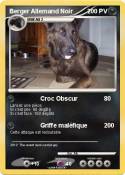 Berger Allemand