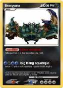 Bracyyura 63