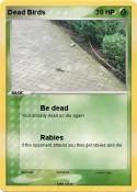 Dead Birds