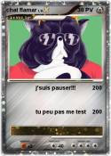 chat flamar
