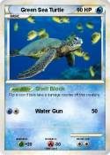 Green Sea Turtl
