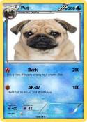 Pug