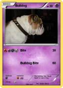 Bulldog