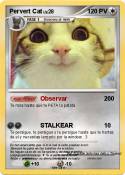 Pervert Cat