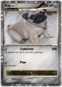 Pug