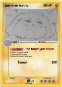 american bunny