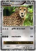 guepard