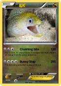 Eel