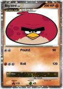 Big bird