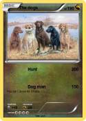 The dogs