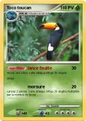 Toco toucan